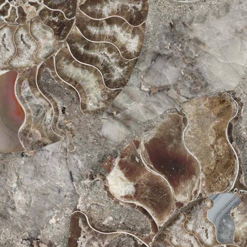 collection-tile-image